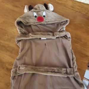 Dog christmas outfit